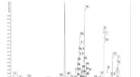 Metabolite Analysis in African Savanna Elephants: A 1D NMR Study