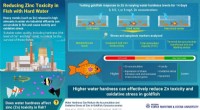 Hard Water Reduces Heavy Metal Toxicity in Goldfish: A Research Breakthrough