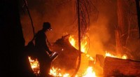 2020 California Wildfires: A Record Year and the Need for Strategic Change