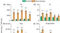 Poplar Defense Mechanism: Synergistic Action of Salicylic Acid & Jasmonates Against Fungal Infections