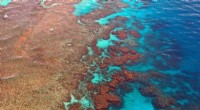 Great Barrier Reef Management: Addressing Climate Change Challenges