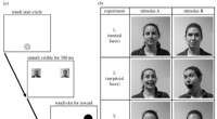 Great Ape Facial Recognition: Familiarity Influences Gaze Duration