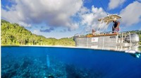 Multinational Ocean Sanctuaries: A Key to Coral Reef Survival in a Changing Climate