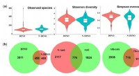 Dinoflagellate-Associated Bacteria: Species Composition & Community Function Analysis