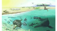 Giant Ichthyosaur Discovery in the Alps: New Species Unveiled