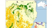 Bushfire Impact on Rainforest Birds: A Post-Fire Assessment