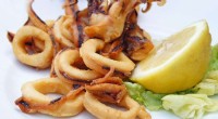 Climate Change Impacts Seafood Availability: Squid vs. Salmon