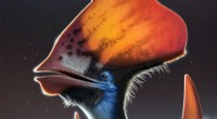 Feather Color in Pterosaurs: New Discovery Sheds Light on Ancient Evolution