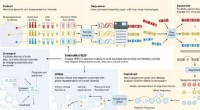 Mapping Global Genomic Diversity: A Comprehensive Overview