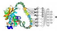 Deep Learning Models Decode Protein Functionality: A New Study
