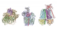 Predicting Protein Interactions with Deep Learning: A New Frontier in Biology