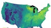 Mapping Bird Biodiversity: A Key to Conservation Efforts