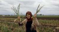 Garlic s Hidden Potential: Research on Viral Resistance