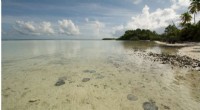 Climate Change Threatens Seychelles Stingray Habitats