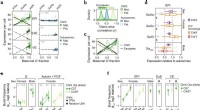 X-Chromosome Dosage Regulation: A Study of Lineage-Specific Expression