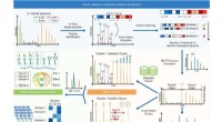 Glyco-Decipher: Advanced Software for Protein Glycosylation Analysis