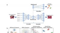 AutoClass: A Universal AI Algorithm for Enhanced Single-Cell Genomics Data Cleaning