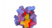 Protein s Hidden Doors: New Targets for Drug Discovery