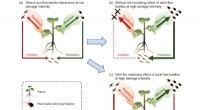 Herbivore Interactions: How Species and Density Shape Plant Responses