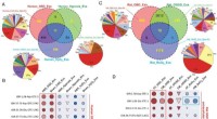 Cellular Stress Response Molecules: Potential Disease Indicators