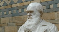 Charles Darwin Notebooks Returned to Cambridge University After 21 Years