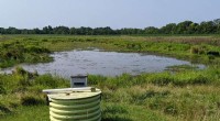 The Unexpected Power of Small Wetlands for Water Quality