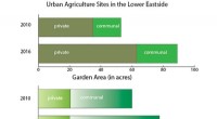 Detroit Urban Agriculture: Scaling Potential & Spatial Distribution