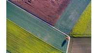 Early Crop Identification with Satellite Imagery: A New Agricultural Technology
