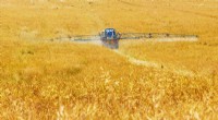New Tool Accelerates Safer Pesticide Development