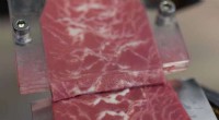 Pea Protein Steak: Innovative Plant-Based Meat Alternative Developed by ETH Zurich
