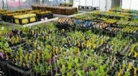 Climate Change Impacts Coastal Prairie Plant Diversity: A New Research Study
