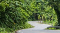 Protecting Our Nation s Roadside Trees: Ecosystem Health & Threats