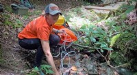 Appalachian Streams: A Key Source of Greenhouse Gas Emissions - Research Study