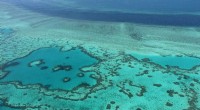 Australia Confirms Mass Coral Bleaching at Great Barrier Reef Amid Warming Seas