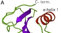 Precision Protein Folding: New Thermodynamic Insights Using Optical Tweezers