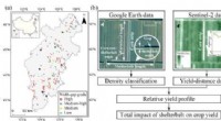 Shelterbelt Design for Increased Crop Yield: A Data-Driven Approach