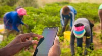 Web3 for Farmers: Empowering Data Ownership and Agricultural Innovation