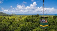 Reaching the Rainforest Canopy: Innovations in Research & Access