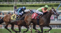 Jockey Gender & Horse Performance: No Significant Difference Found - Research Square