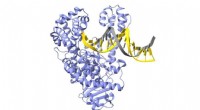 Breakthrough in Genetic Sequencing: New Enzyme Discovery