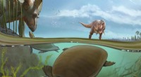 Ancient Softshell Turtle Discovered: A Cretaceous Period Resident