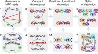 La Jolla Assembler (LJA): A Novel Algorithm for Accurate Genome Assembly