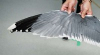 Bird Flight Agility: How Birds Switch Between Stable & Unstable Gliding
