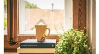 Improve Indoor Air Quality with Houseplants: A Research-Backed Guide