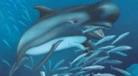 Ancient Orca Diet: Study Reveals Early Killer Whales Primarily Ate Fish