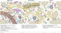 Soil Microbes & the Carbon Cycle: Understanding the Role of Decomposition