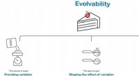 Understanding Evolvability: Key Mechanisms & Organismal Features