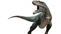 New Study Suggests Tyrannosaurus Rex May Be Three Distinct Species