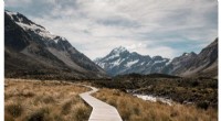 NZ Conservation Volunteers: A National Study Reveals Insights