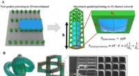 3D Micromesh Printing for Advanced Microtissue Engineering